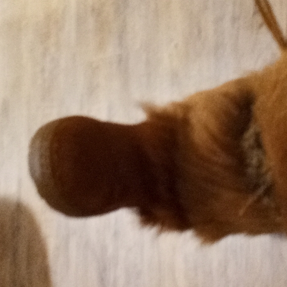 Shoes - Picture 3 of 3